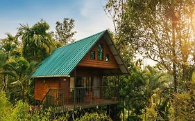 Kedara Resort Wayanad Pet Friendly With Pool